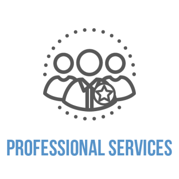 Professional Services